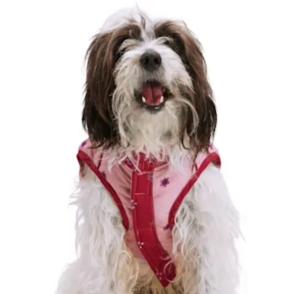 NWT Youly pink dog jacket L